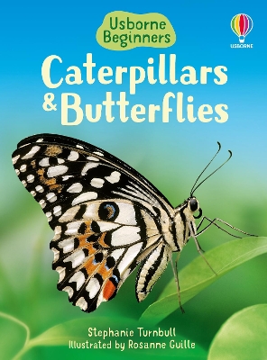 Book cover for Caterpillars and Butterflies