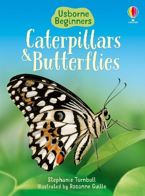 Cover of Caterpillars and Butterflies