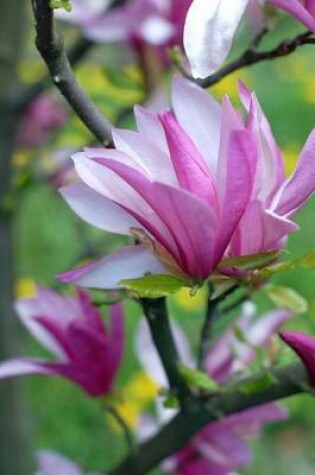 Cover of Purple Magnolia Tree Blooms (for the Love of Flowers)