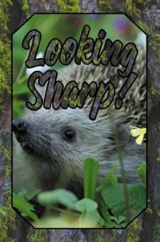 Cover of Looking Sharp!