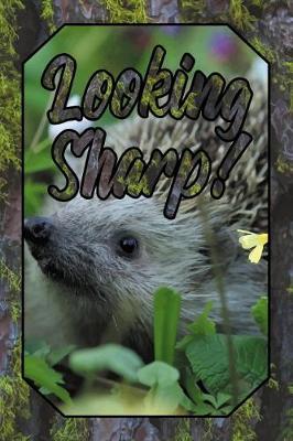 Book cover for Looking Sharp!