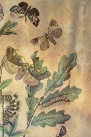 Cover of Butterfly Life Cycle Notebook