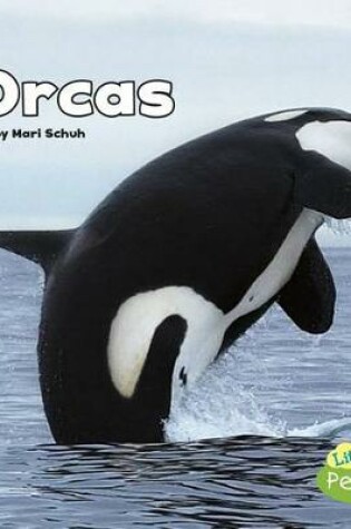 Cover of Orcas