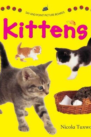 Cover of Say and Point Picture Boards: Kittens