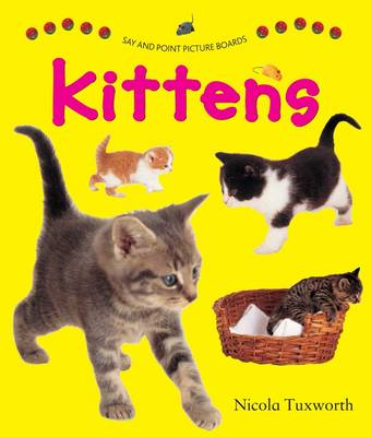 Book cover for Say and Point Picture Boards: Kittens