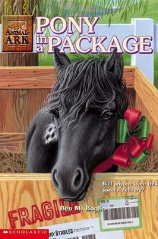 Cover of Pony in a Package