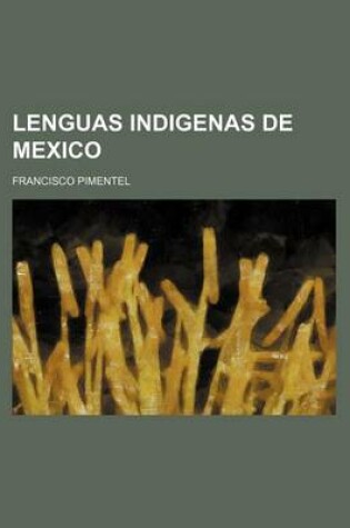 Cover of Lenguas Indigenas de Mexico