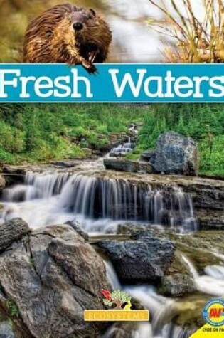 Cover of Fresh Waters with Code