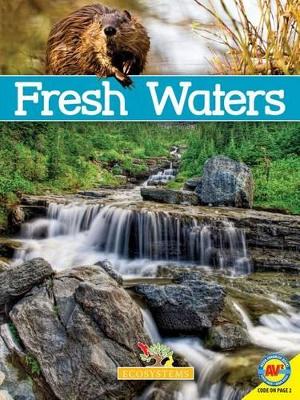 Book cover for Fresh Waters with Code