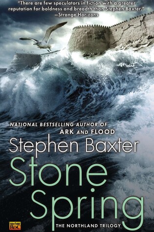 Cover of Stone Spring