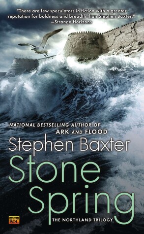 Book cover for Stone Spring