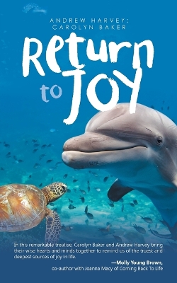 Book cover for Return to Joy