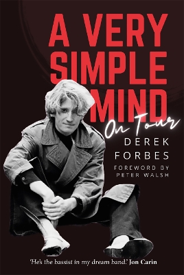 Book cover for A Very Simple Mind