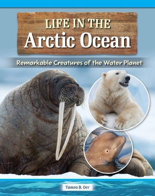 Book cover for Life in the Arctic Ocean