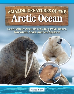 Book cover for Amazing Creatures of the Arctic Ocean