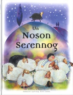 Book cover for Un Noson Serennog