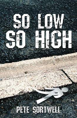Book cover for So Low So High