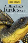 Book cover for A Blanding's Turtle Story