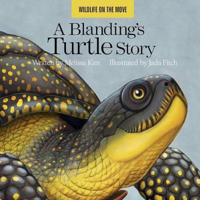 Cover of A Blanding's Turtle Story