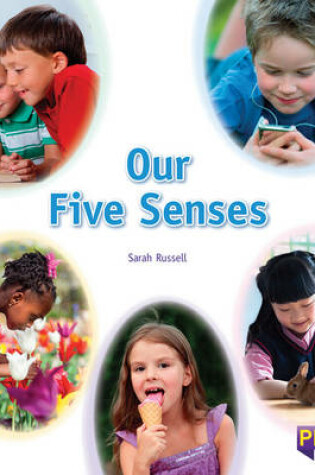 Cover of Our Five Senses