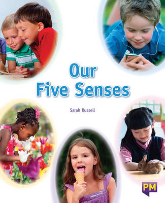 Book cover for Our Five Senses