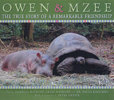 Book cover for The Amazing True Story of Owen and MZee