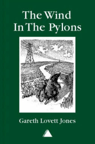 Cover of The Wind in the Pylons