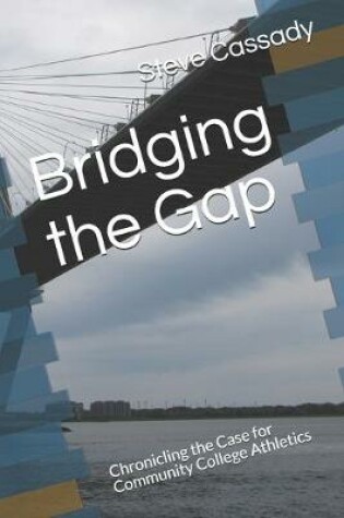 Cover of Bridging the Gap