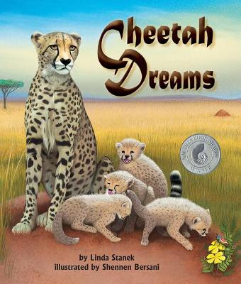 Book cover for Cheetah Dreams