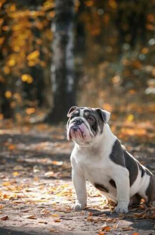 Cover of A Lilac English Bulldog Journal