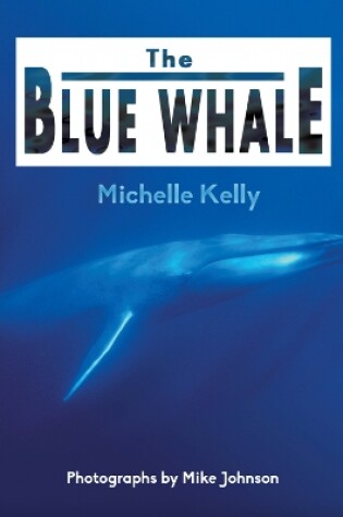 Cover of The Blue Whale