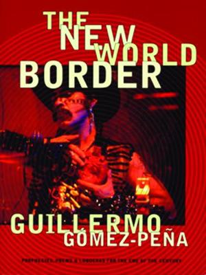 Book cover for The New World Border