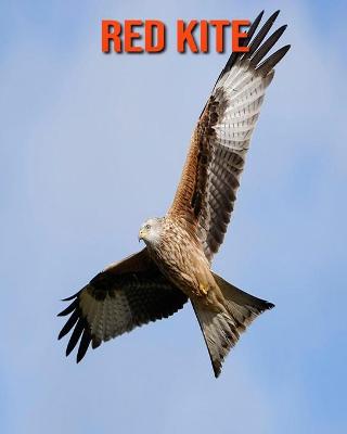 Book cover for Red Kite