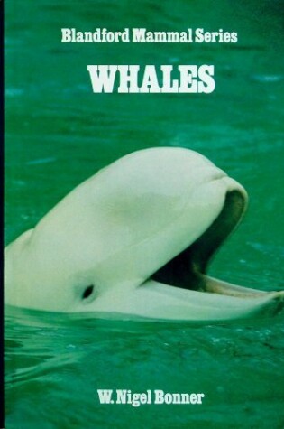 Cover of Whales