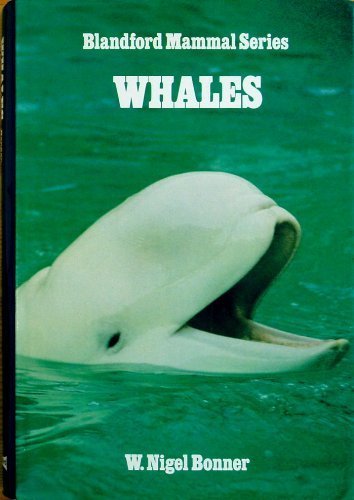 Book cover for Whales