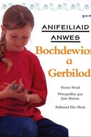 Cover of Cyfres Anifeiliaid Anwes: Bochdewion a Gerbilod