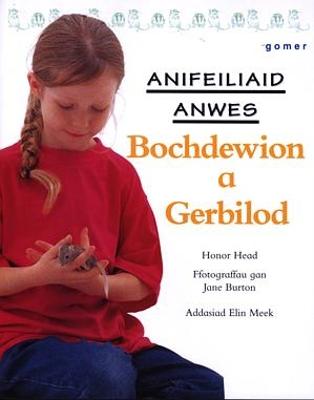 Book cover for Cyfres Anifeiliaid Anwes: Bochdewion a Gerbilod