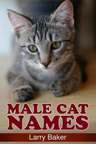 Cover of Male Cat Names