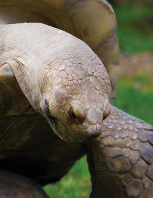 Book cover for Galapagos Tortoise Blank Sketchbook