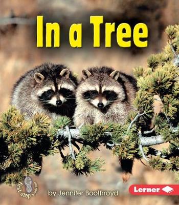 Cover of In a Tree