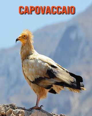 Cover of Capovaccaio