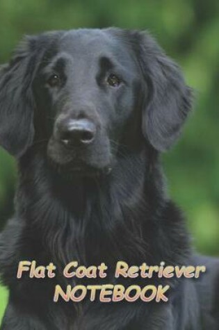 Cover of Flat Coat Retriever NOTEBOOK