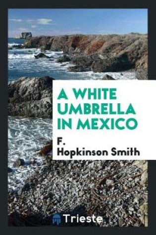 Cover of A White Umbrella in Mexico