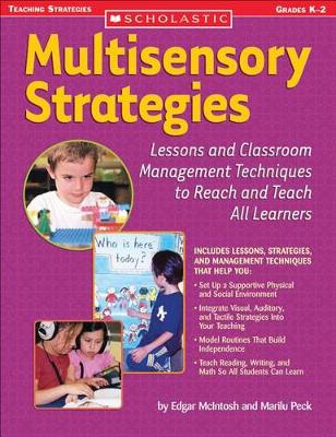 Book cover for Multisensory Strategies