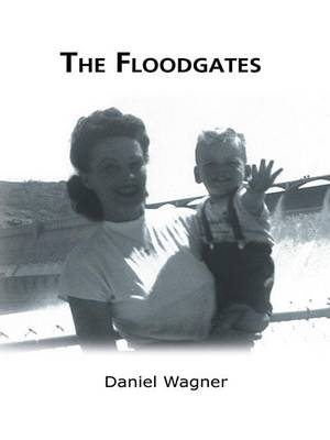 Book cover for The Floodgates