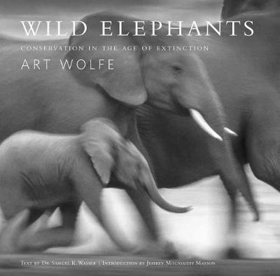 Book cover for Wild Elephants