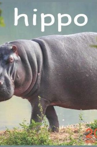 Cover of hippo