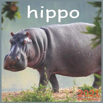 Book cover for hippo