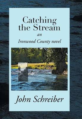 Book cover for Catching the Stream