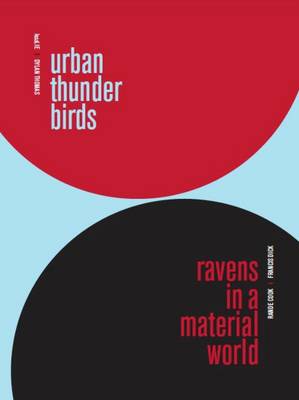 Book cover for Urban Thunderbirds